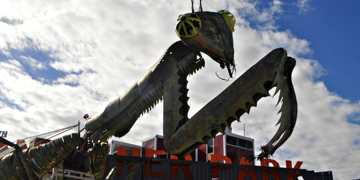 Venture Up Las Vegas Nevada praying mantis amazing race