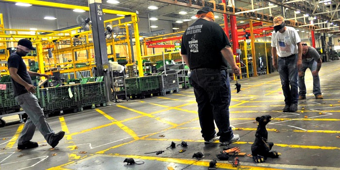 Venture Up Factory Floor Team Building